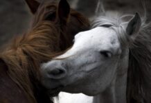 ‘Kadın Gözüyle Hayattan Kareler’