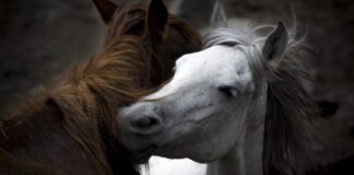 ‘Kadın Gözüyle Hayattan Kareler’