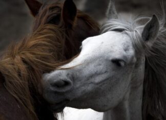 ‘Kadın Gözüyle Hayattan Kareler’